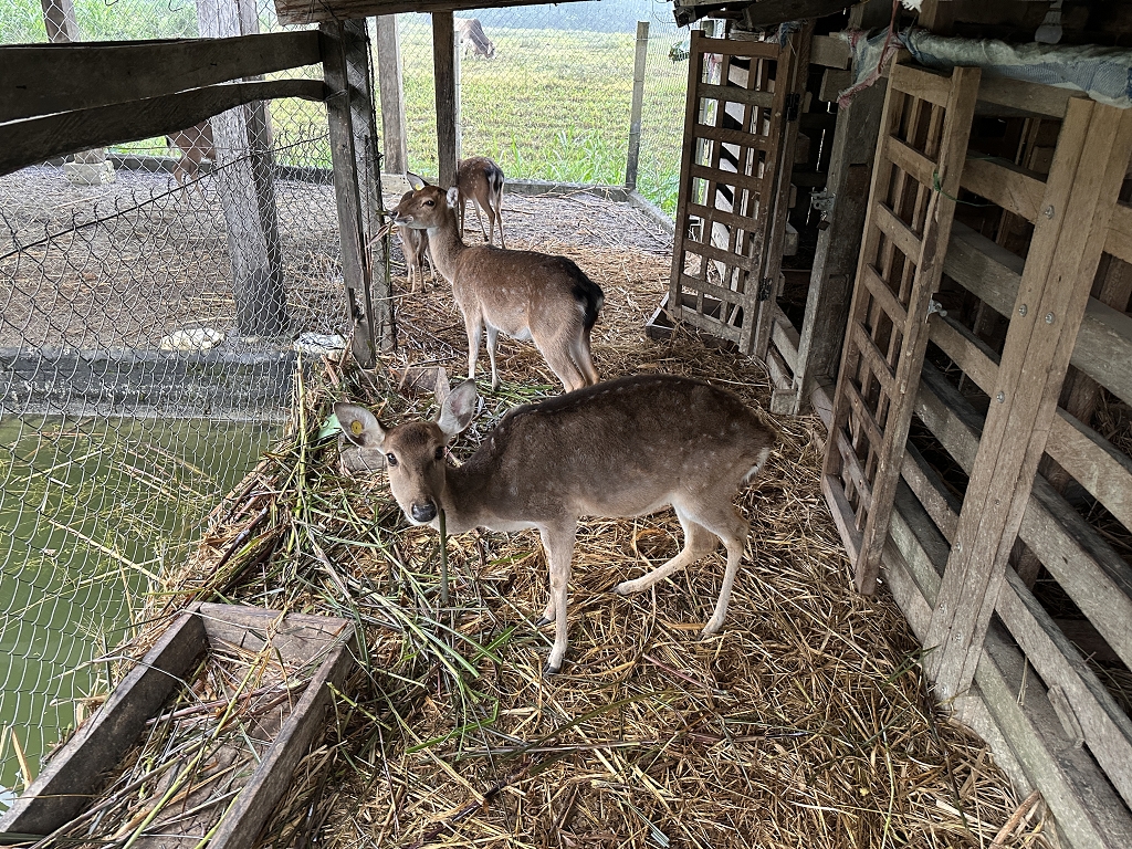 Radtour durch Tan Hoa