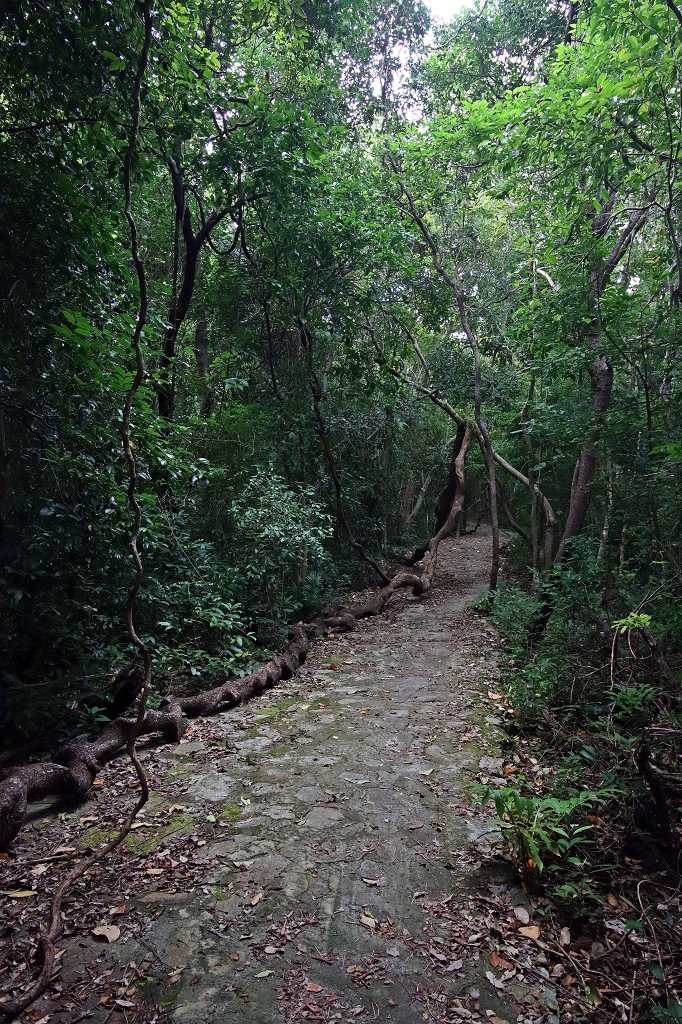 Wanderung zu den Stränden Dat Tham und Bãi Bàng im Con Dao National Park