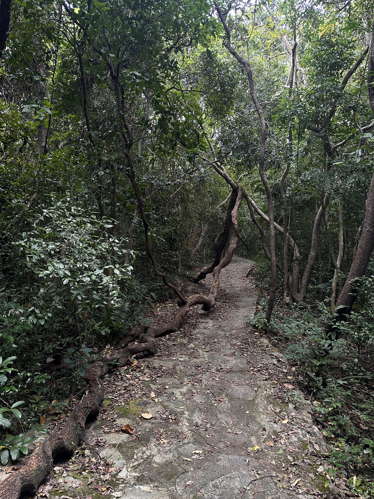 Wanderung zu den Stränden Dat Tham und Bãi Bàng im Con Dao National Park