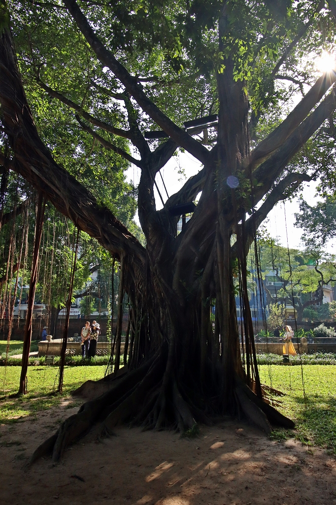 Literaturtempel (Văn Miếu-Quốc Tử Giám) in Hanoi