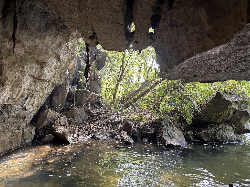 Van Höhle (Hang Van)