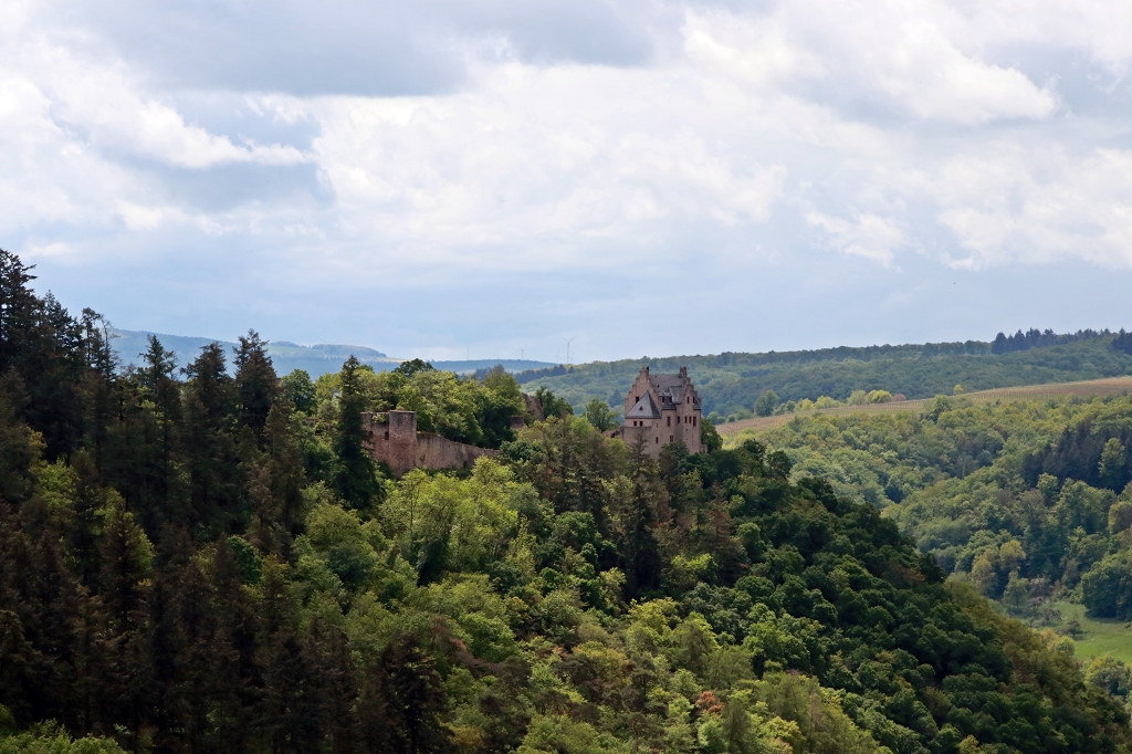 Wanderung 3x3 Salinental: Vitaltour Rheingrafenstein: Blick vom Uhufels auf die Ruine der Altenbaumburg