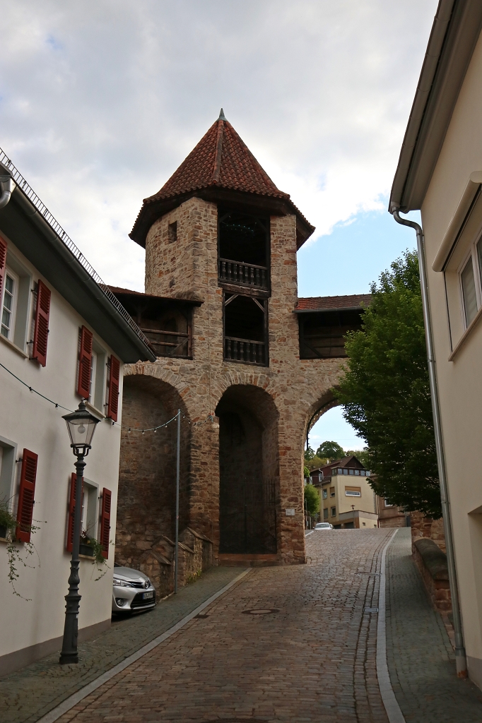 Alte Stadtmauer und Turm in Kirchheimbolanden