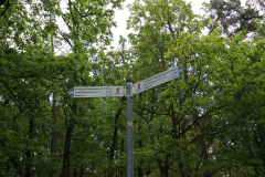 Wanderung 3x3 Salinental: Vitaltour Rheingrafenstein